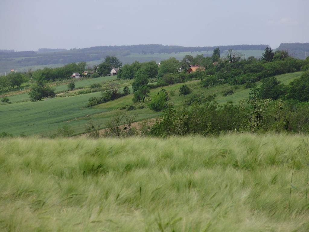 ZalaszentlászlóNyugalomsziget Nyaralohaz别墅 外观 照片