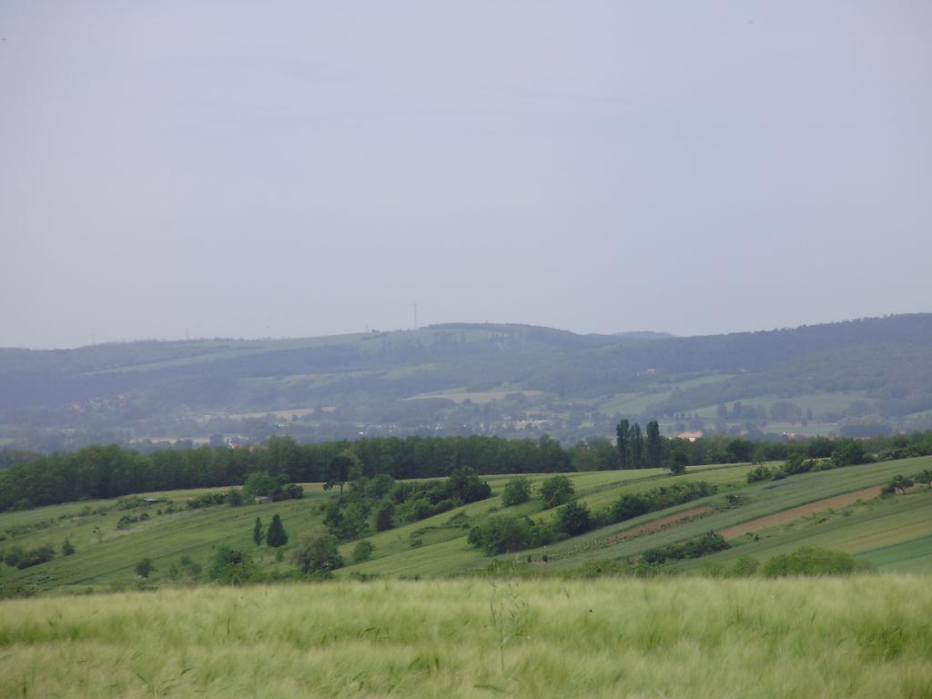 ZalaszentlászlóNyugalomsziget Nyaralohaz别墅 外观 照片